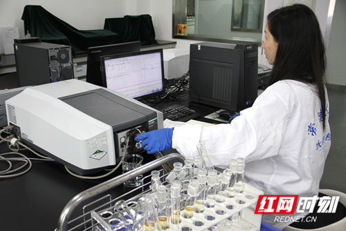 常德水文中心推出灌區水質監測服務，水資源管理網絡技術再添新翼