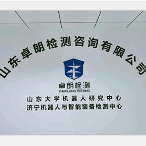 山東卓朗檢測咨詢 專業(yè)安全咨詢服務(wù)提供商