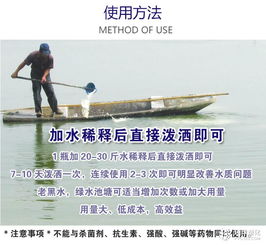 蝦塘水體渾濁原因分析與快速凈水技術全攻略
